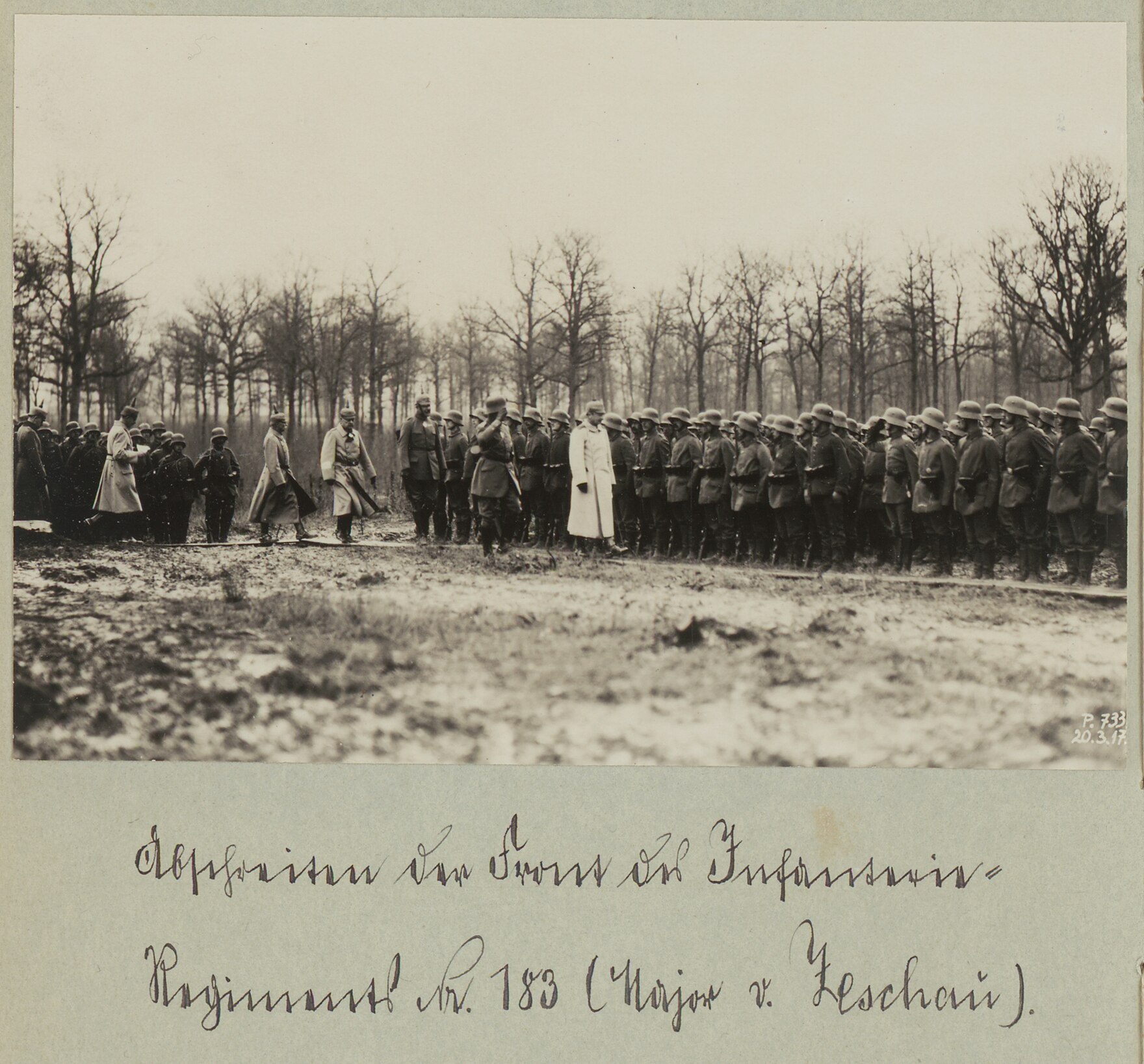 Das Foto zeigt eine Gruppe von Soldaten, vor denen Offiziere entlanglaufen. Im Hintergrund ist eine Reihe kahler Bäume zu sehen.